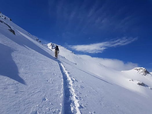 Tamlspitz 2.608 m (Skitour) WhatsApp Image 2024 03 09 at 14.37.42