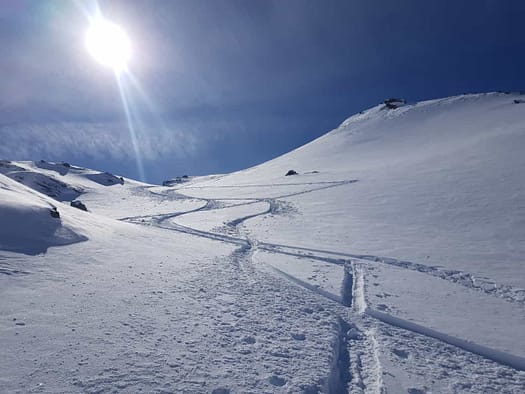 Tamlspitz 2.608 m (Skitour) WhatsApp Image 2024 03 09 at 14.37.54