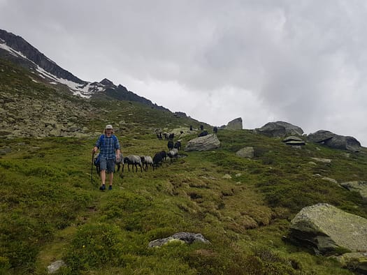 Aukarkopf 2.736 m (Bergtour) Aukarkopf 2.736 m Bergtour 2