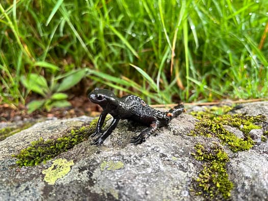 Aukarkopf 2.736 m (Bergtour) Aukarkopf 2.736 m Bergtour 3