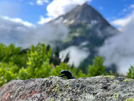 Aukarkopf 2.736 m (Bergtour) Aukarkopf 2.736 m Bergtour 8