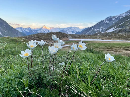 Essener- und Rostocker Hütte 2.208 m (Wanderung) Essener und Rostocker Huette 2.208 m Wanderung 18