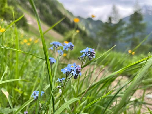 Essener- und Rostocker Hütte 2.208 m (Wanderung) Essener und Rostocker Huette 2.208 m Wanderung 4