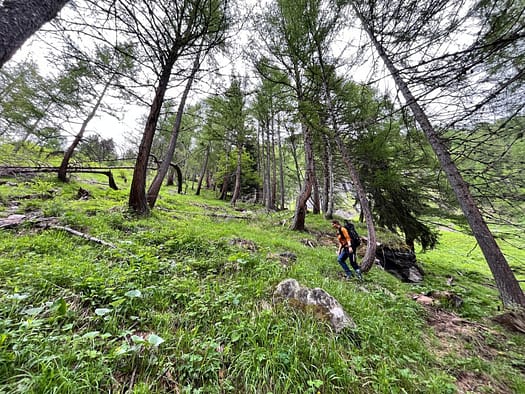 Essener- und Rostocker Hütte 2.208 m (Wanderung) Essener und Rostocker Huette 2.208 m Wanderung 6