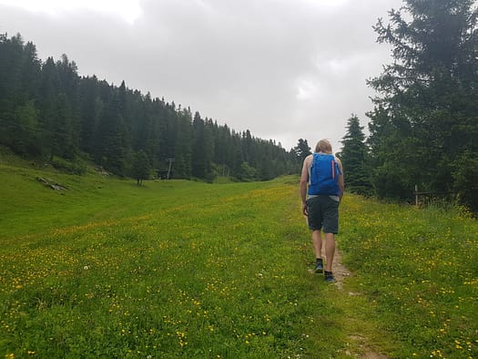 Hochfeld 2.350 m (Wanderung) Hochfeld 2.350 m Wanderung 17