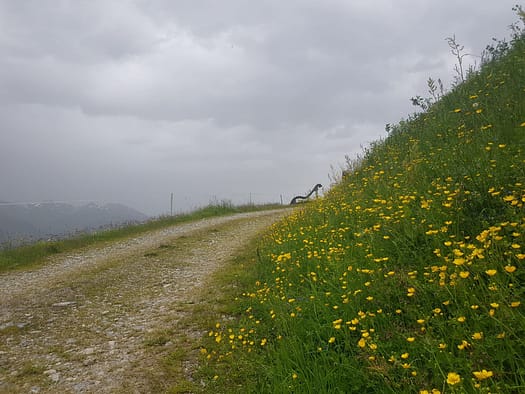 Hochfeld 2.350 m (Wanderung) Hochfeld 2.350 m Wanderung 2