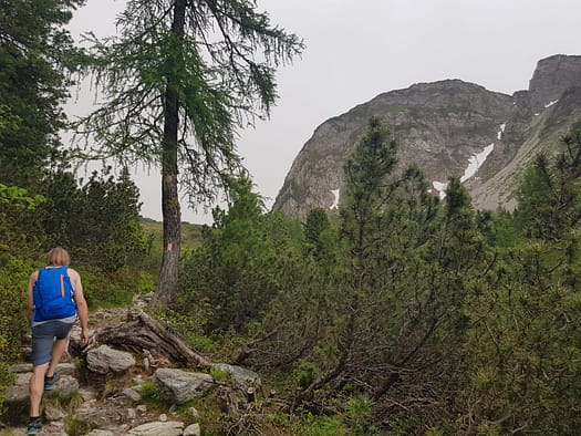 Hochfeld 2.350 m (Wanderung) Hochfeld 2.350 m Wanderung 7