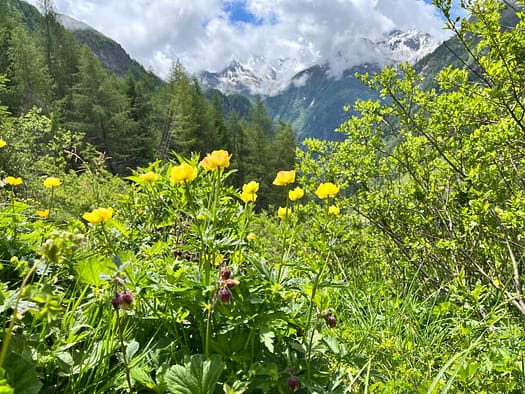 Essener- und Rostocker Hütte 2.208 m (Wanderung) abstieg 4