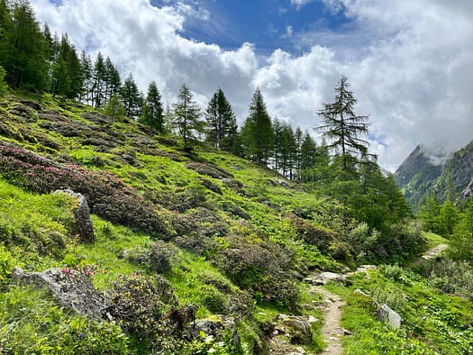 Essener- und Rostocker Hütte 2.208 m (Wanderung) abstieg 5