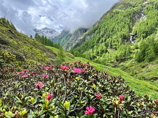 Essener- und Rostocker Hütte 2.208 m (Wanderung) abstieg 6