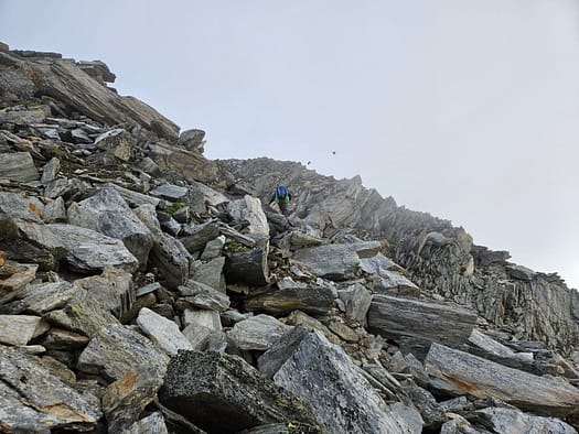 Dreiherrenspitze 3.499 m (Hochtour) Dreiherrenspitze 3.499 m Hochtour 8