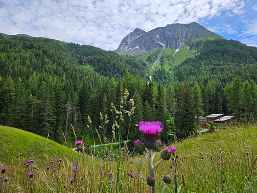 Lenkjöchlhütte 2.603 m (Wanderung) Lenkjoechlhuette 2.603 m Wanderung 14