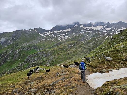 Lenkjöchlhütte 2.603 m (Wanderung) Lenkjoechlhuette 2.603 m Wanderung Windtal 6