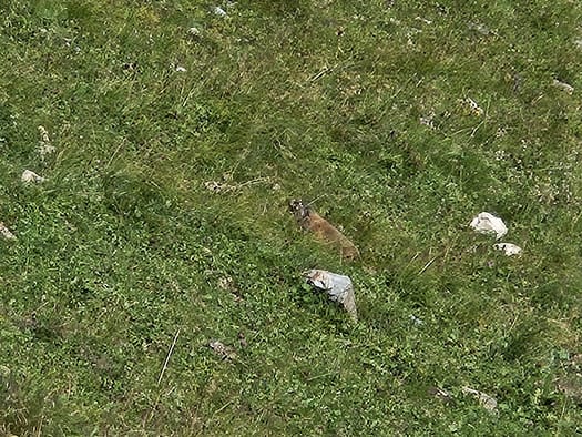 Kleiner Kaserer 3.093 m (Bergtour) Kleiner Kaserer 3.093 m Bergtour 10