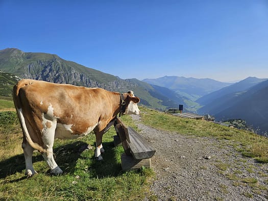 Kleiner Kaserer 3.093 m (Bergtour) Kleiner Kaserer 3.093 m Bergtour 2