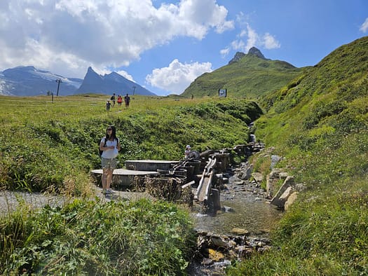 Gletscherfloh- und Kugelsafari (Wanderung) Kleiner Kaserer 3.093 m Bergtour 31