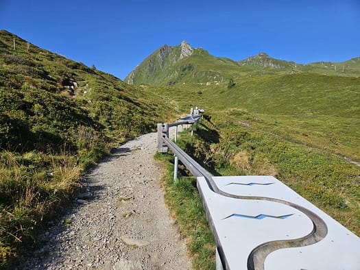 Gletscherfloh- und Kugelsafari (Wanderung) Kleiner Kaserer 3.093 m Bergtour 34