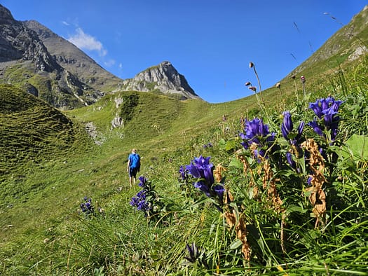 Kleiner Kaserer 3.093 m (Bergtour) Kleiner Kaserer 3.093 m Bergtour 5