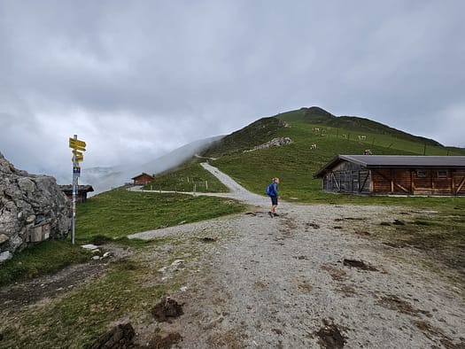 Wanglspitze 2.420 m (Wanderung) Wanglspitze 2.420 m Wanderung 3