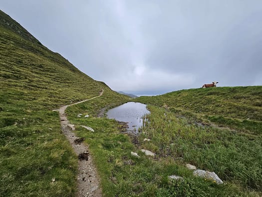 Wanglspitze 2.420 m (Wanderung) Wanglspitze 2.420 m Wanderung 5