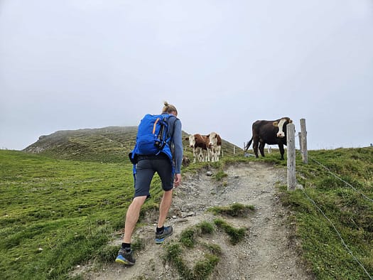 Wanglspitze 2.420 m (Wanderung) Wanglspitze 2.420 m Wanderung 6