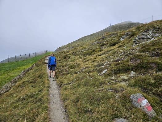 Wanglspitze 2.420 m (Wanderung) Wanglspitze 2.420 m Wanderung 7