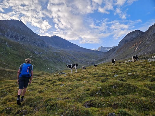 Hochsteller 3.098 m (Bergtour) Hochsteller 3.098 m Bergtour 12