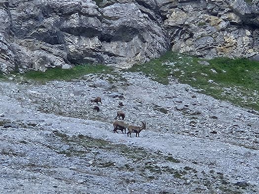 Lamsenspitze 2.508 m (Klettersteig) Lamsenspitze 2.508 m Klettersteig 28