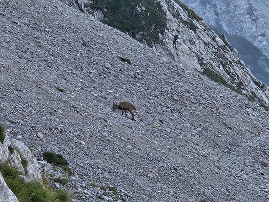 Lamsenspitze 2.508 m (Klettersteig) Lamsenspitze 2.508 m Klettersteig 7
