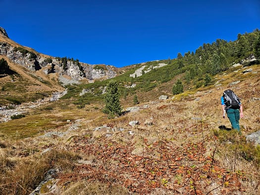 Friesenberghaus 2.498 m (Wanderung) Friesenberghaus 2.498 m Wanderung 19