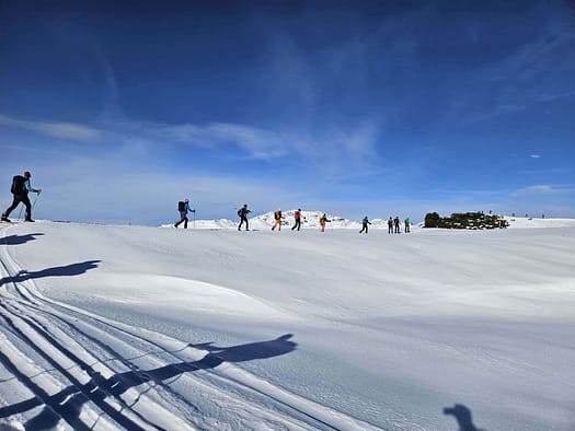 Arbiskogel 2.048 m & Brunellköpfe 2.130 m vom Schönachtal (Skitour) Arbiskogel 2.048 m Brunellkoepfe 2.130 m vom Schoenachtal Skitour 8