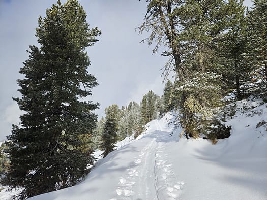 Arena Stadl 2.390 m - Zillertal Arena (Pistenskitour) Arena Stadl 2.390 m Zillertal Arena Pistenskitour 4
