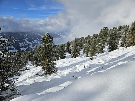 Arena Stadl 2.390 m - Zillertal Arena (Pistenskitour) Arena Stadl 2.390 m Zillertal Arena Pistenskitour 6