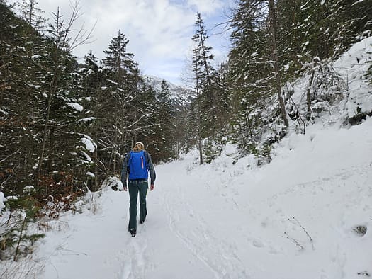 Bärenkopf 1.991 m (Wanderung) Baerenkopf 1.991 m Wanderung 1
