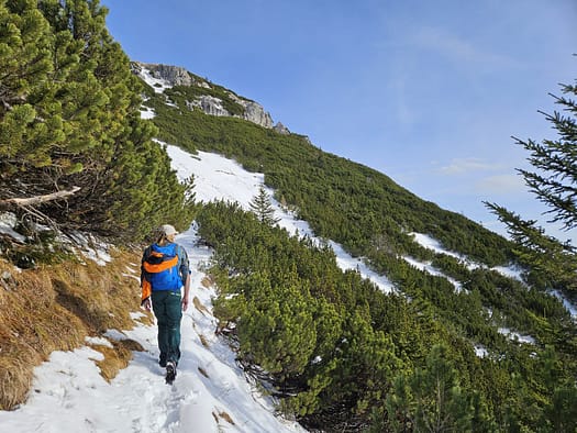 Bärenkopf 1.991 m (Wanderung) Baerenkopf 1.991 m Wanderung 10