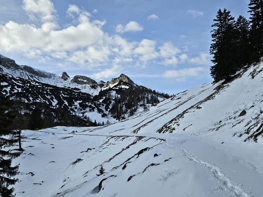 Bärenkopf 1.991 m (Wanderung) Baerenkopf 1.991 m Wanderung 3