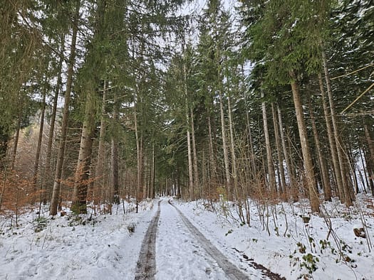 Bärenkopf 1.991 m (Wanderung) Baerenkopf 1.991 m Wanderung 7