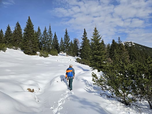Bärenkopf 1.991 m (Wanderung) Baerenkopf 1.991 m Wanderung 8