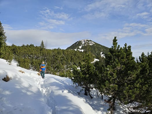Bärenkopf 1.991 m (Wanderung) Baerenkopf 1.991 m Wanderung 9