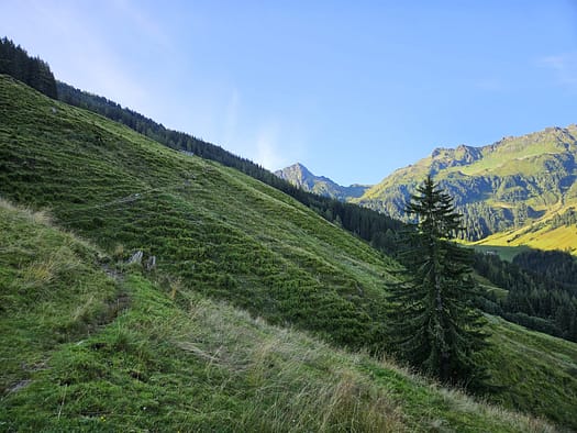 Großer Galtenberg 2.424 m (Wanderung) Grosser Galtenberg 2.424 m Wanderung 16