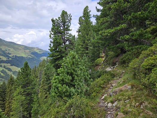 Großer Galtenberg 2.424 m (Wanderung) Grosser Galtenberg 2.424 m Wanderung 2