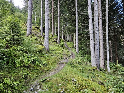 Großer Galtenberg 2.424 m (Wanderung) Grosser Galtenberg 2.424 m Wanderung 5