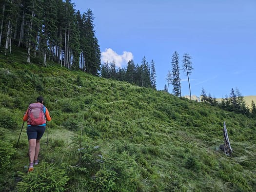 Großer Galtenberg 2.424 m (Wanderung) Grosser Galtenberg 2.424 m Wanderung 7