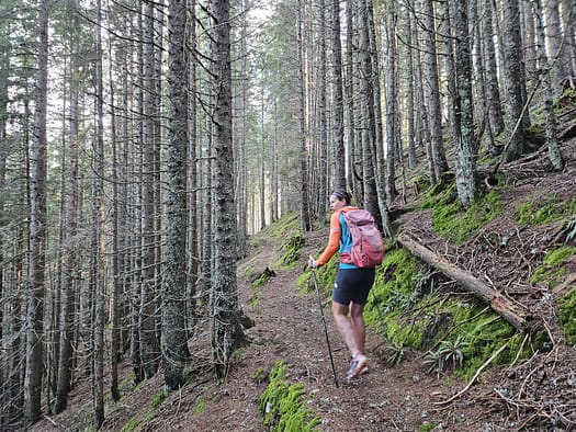 Großer Galtenberg 2.424 m (Wanderung) Grosser Galtenberg 2.424 m Wanderung 8