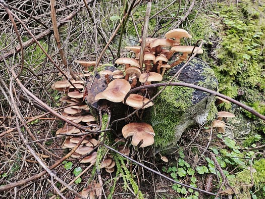 Neue Regensburger Hütte 2.286 m (Wanderung) Neue Regensburger Huette 2.286 m Wanderung 17