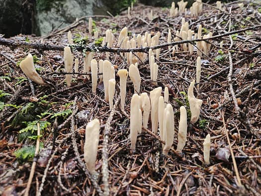 Neue Regensburger Hütte 2.286 m (Wanderung) Neue Regensburger Huette 2.286 m Wanderung 18
