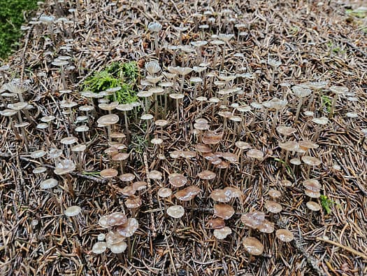 Neue Regensburger Hütte 2.286 m (Wanderung) Neue Regensburger Huette 2.286 m Wanderung 19