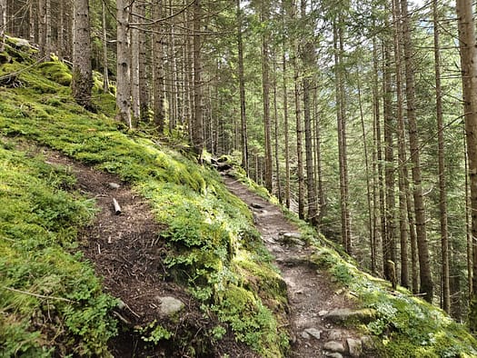 Neue Regensburger Hütte 2.286 m (Wanderung) Neue Regensburger Huette 2.286 m Wanderung 2