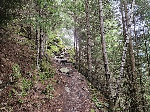 Neue Regensburger Hütte 2.286 m (Wanderung) Neue Regensburger Huette 2.286 m Wanderung 5