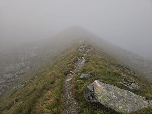 Vordere Plattenspitze 2.935 m (Bergtour) Vordere Plattenspitze 2.935 m Bergtour 4